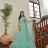 Pastel Aqua Blue Embroidered Lehenga Choli
