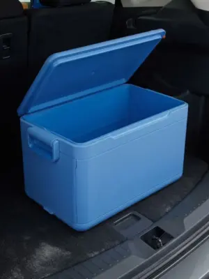 Portable Insulated Storage Trunk