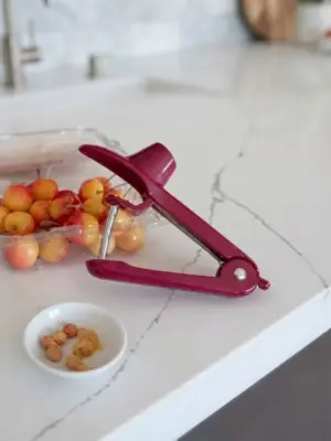 Premium Kitchen Fruit Corer & Pitter Tool